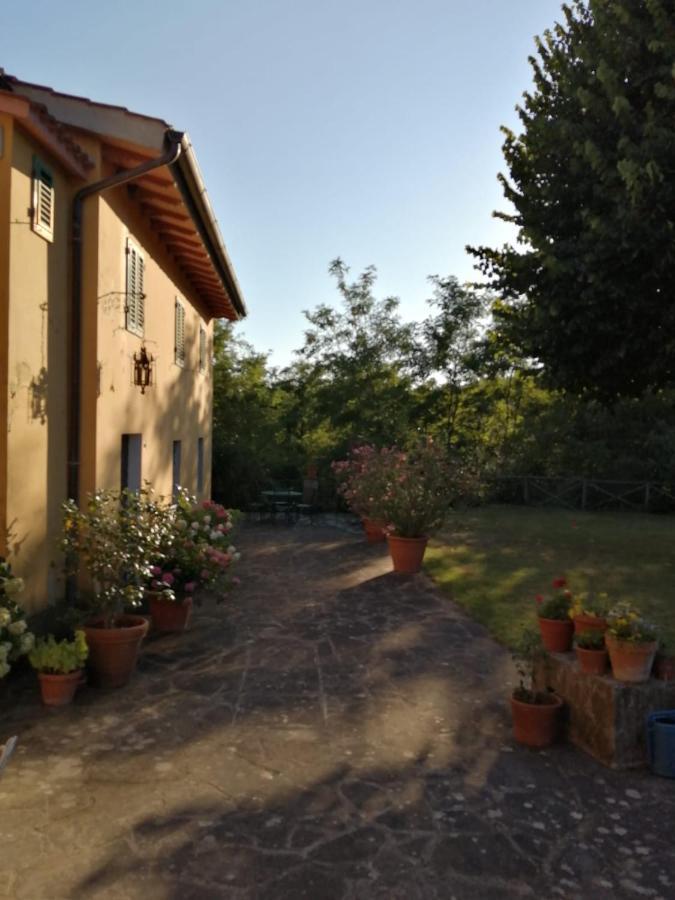 ヴィッキオ Mugello - Casa Di Campagna Bed & Breakfast エクステリア 写真