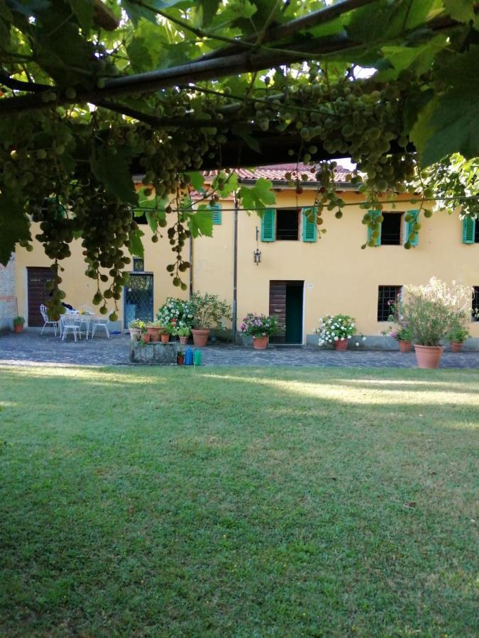 ヴィッキオ Mugello - Casa Di Campagna Bed & Breakfast エクステリア 写真